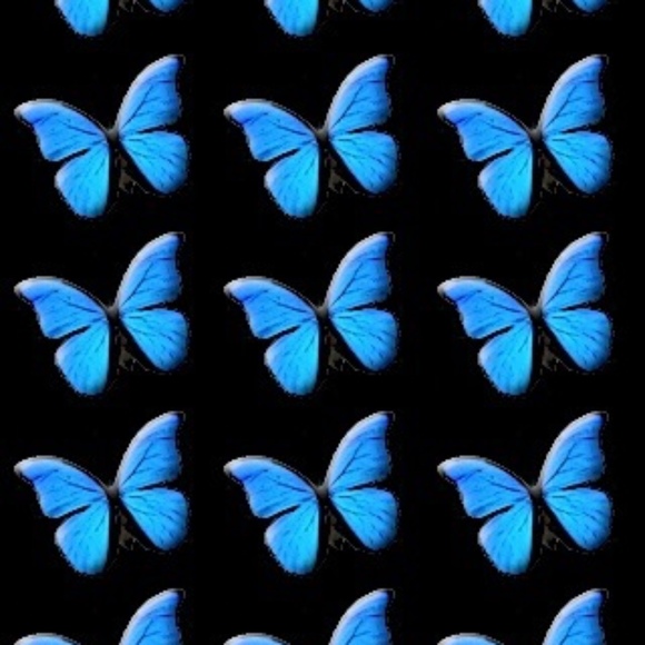 corinne_distaso